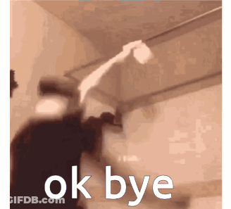 Person Throwing Toilet Paper Roll GIF