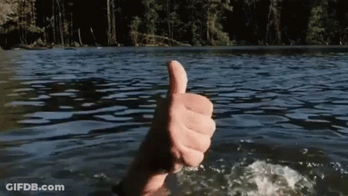 Person Thumbs Up Swimming In Lake GIF