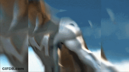 Person Torso With Blue Sky GIF
