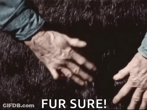 Person Touching Fur Rug GIF