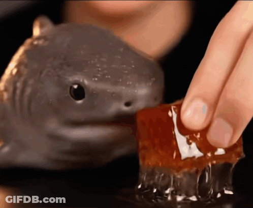 Person Touching Jelly GIF