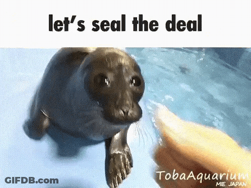 Person Touching Seal Let's Seal The Deal GIF