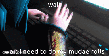 Person Typing Wait Wait I Need To Do My Mudae Rolls GIF