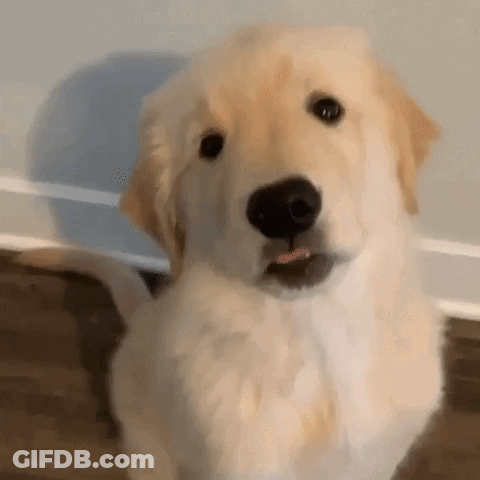 Person Using Foot Polisher On Foot GIF