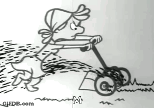 Person Using Lawn Mower GIF