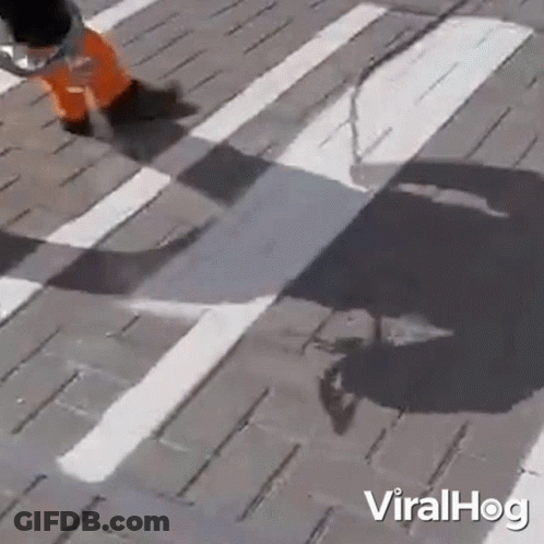 Person Walking Across Crosswalk With Shadow GIF