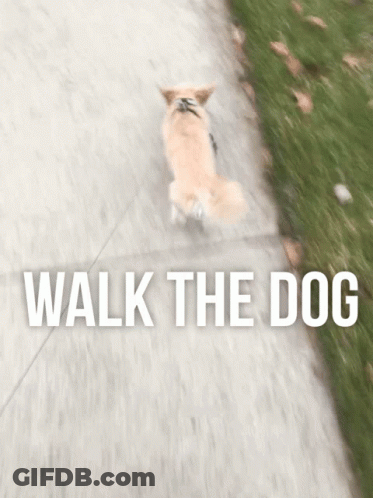Person Walking Dog Saying Walk The Dog GIF