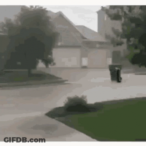 Person Walking Down Sidewalk In Front Of House With Trash Can GIF
