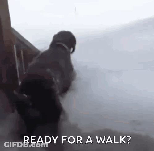 Person Walking Down Snowy Stairs Ready For Walk GIF