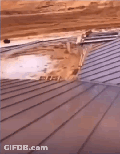 Person Walking Down Stairs Holding Skateboard GIF