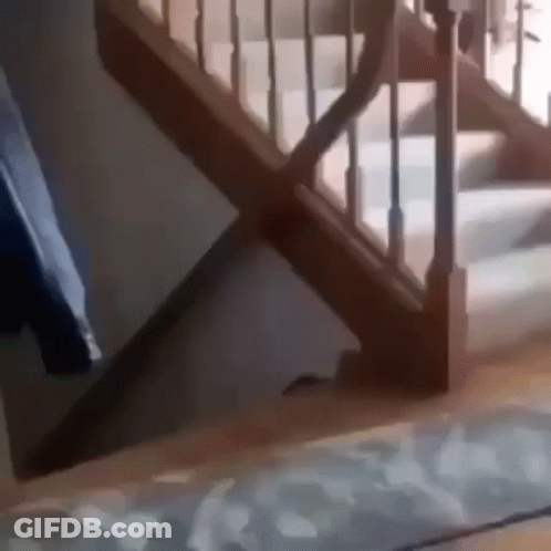 Person Walking Down Wooden Stairs GIF