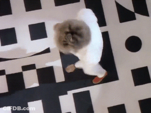 Person Walking On Checkered Floor With Letter N GIF