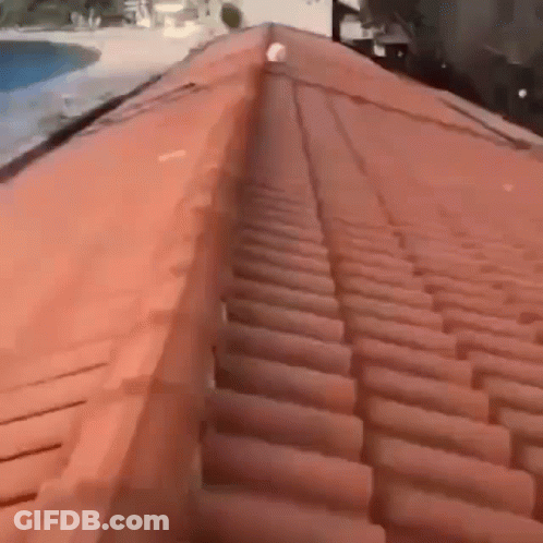 Person Walking On Roof GIF