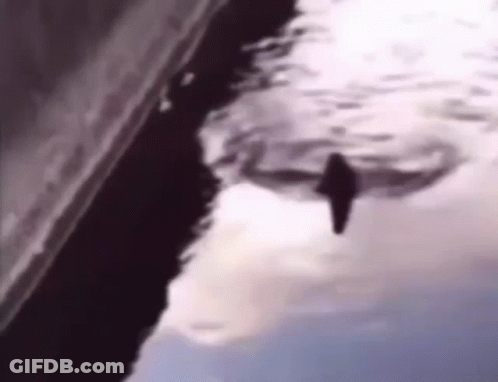 Person Walking On Sidewalk Beside River GIF
