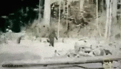 Person Walking Through Snow In Forest GIF