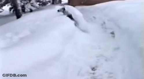 Person Walking Through Snowy Forest GIF
