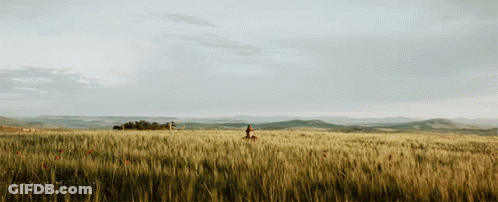 Person Walking Through Tall Grass With Mountains GIF