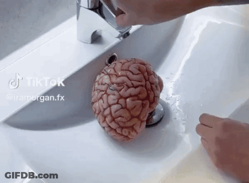 Person Washing Brain In Sink Tiktok GIF