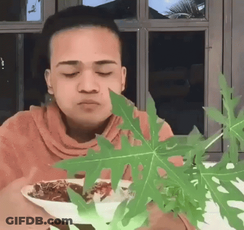 Person Washing Dishes In Kitchen Sink GIF