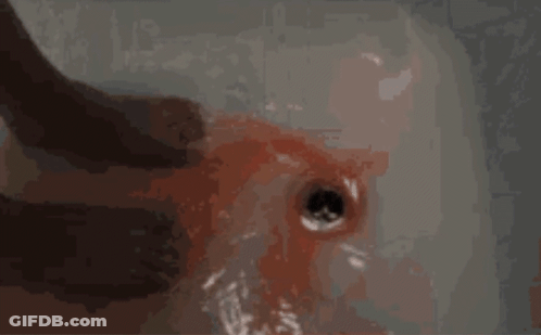 Person Washing Hands In Bloody Sink GIF