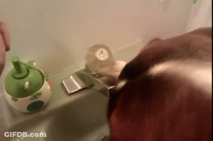 Person Washing Hands With Frog Soap Dispenser GIF