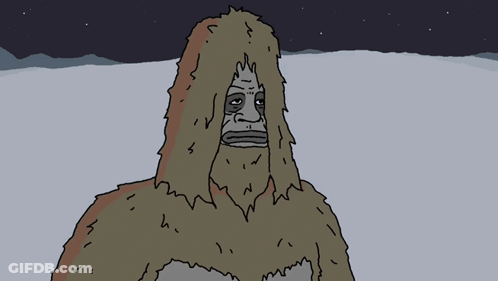 Person Watching Northern Lights GIF