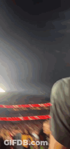Person Watching Wrestling Match In Ring GIF