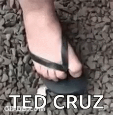 Person Wearing Flip Flops GIF