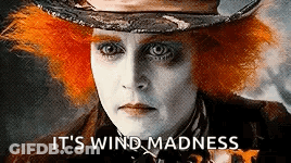 Person Wearing Hat Saying It's Wind Madness GIF