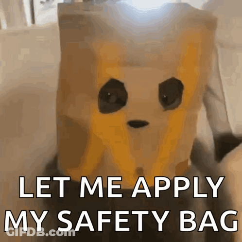 Person Wearing Paper Bag Saying Let Me Apply My Safety Bag GIF
