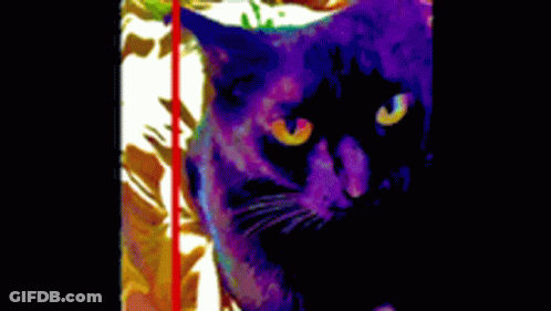 Person Wearing Pearl Necklace GIF