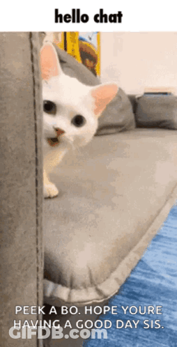 Person Wearing Purple Belt With Orange Item GIF