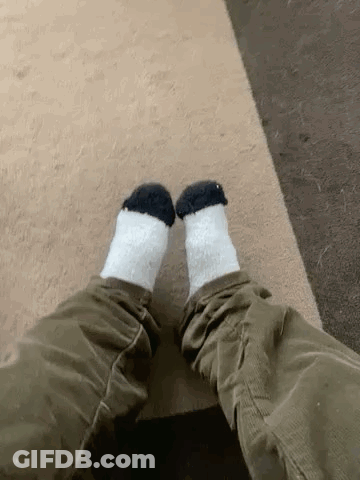 Person Wearing Sheep's Feet Socks GIF
