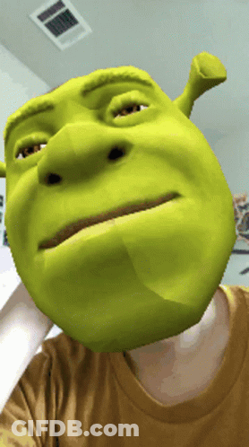 Person Wearing Shrek Face Shirt GIF