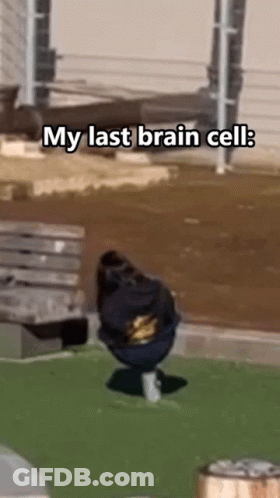 Person With Backpack Sitting On Bench Saying My Last Brain Cell GIF