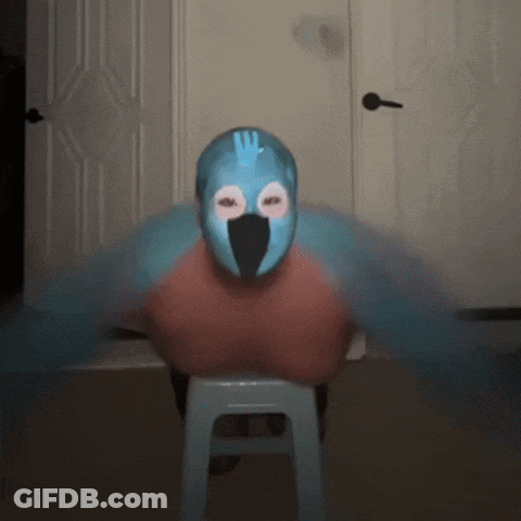 Person With Bird Mask Sitting On Blue Stool GIF