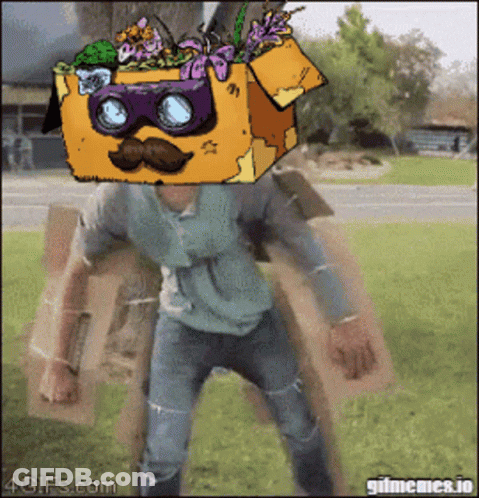 Person With Box On Head Saying 4Gifs.com GIF