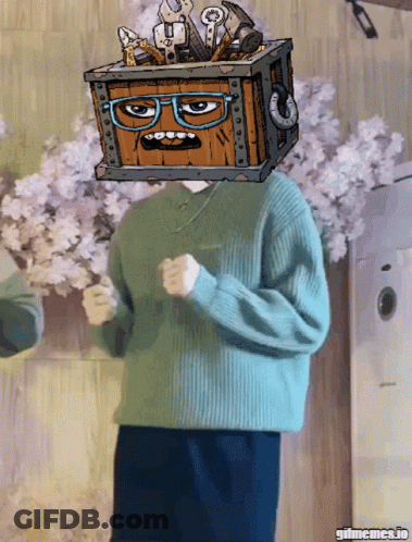 Person With Box On Head Saying Gifmemes.io GIF