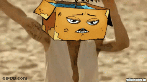 Person With Cardboard Box On Head GIF