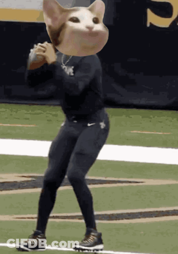 Person With Cat Head GIF