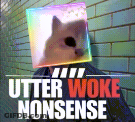 Person With Cat On Head Utter Woke Nonsense GIF