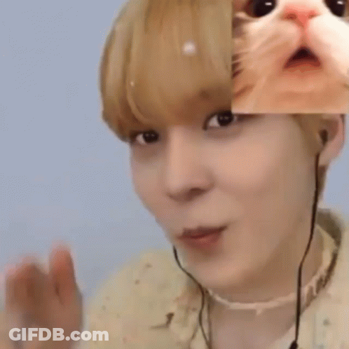 Person With Cat Portrait On Face GIF