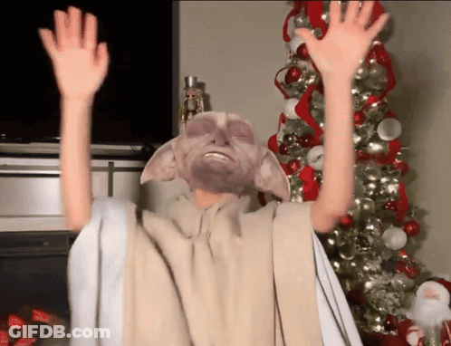 Person With Christmas Tree Hands Up GIF