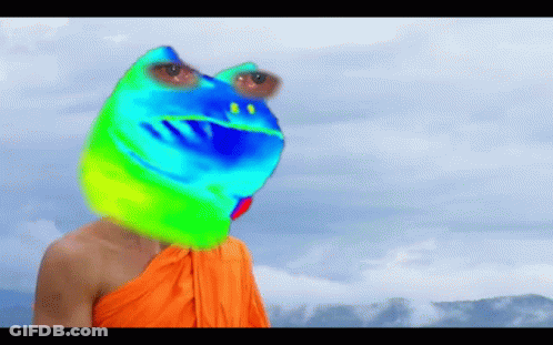 Person With Colorful Frog Head GIF
