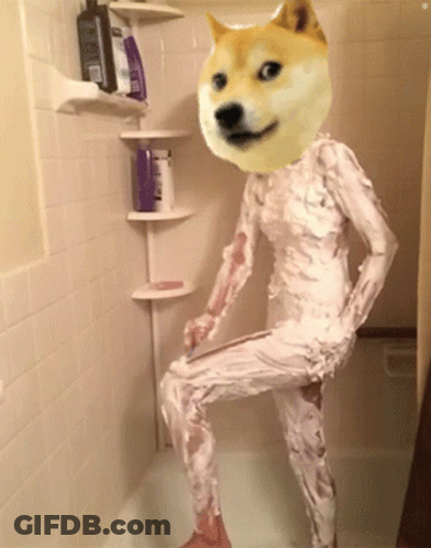 Person With Doge Head Taking A Bath GIF