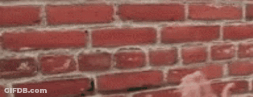 Person With Hands Up At Red Brick Wall GIF