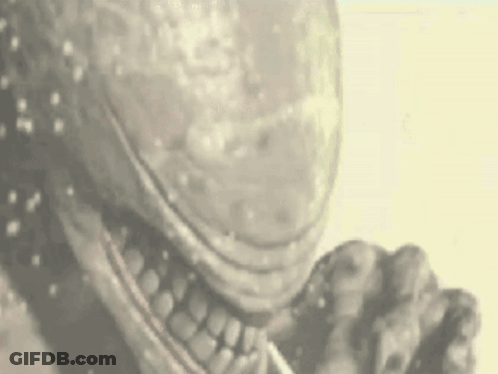 Person With Large Mouth And Teeth GIF