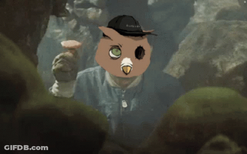 Person With Owl Head GIF