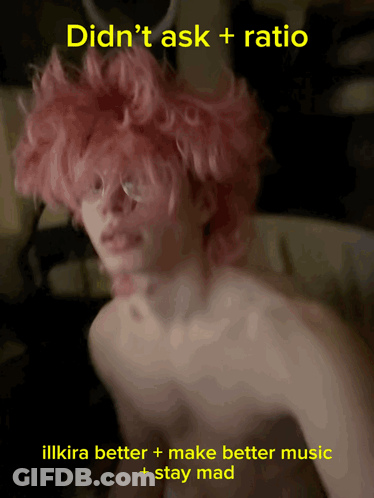 Person With Pink Hair And Didn't Ask + Ratio GIF