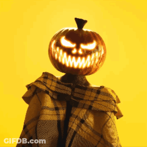 Person With Pumpkin On Head And Plaid Poncho GIF